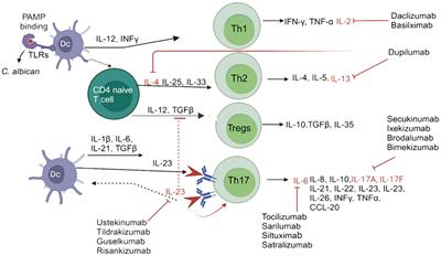 Interleukin inhibitors and the associated risk of candidiasis